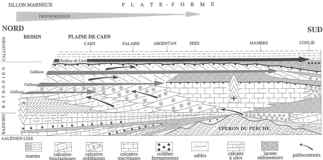 La répartition des principaux faciès sédimentaires au sein des formations du Jurassique moyen de Basse-Normandie (d’après Dugué et al., 1998)