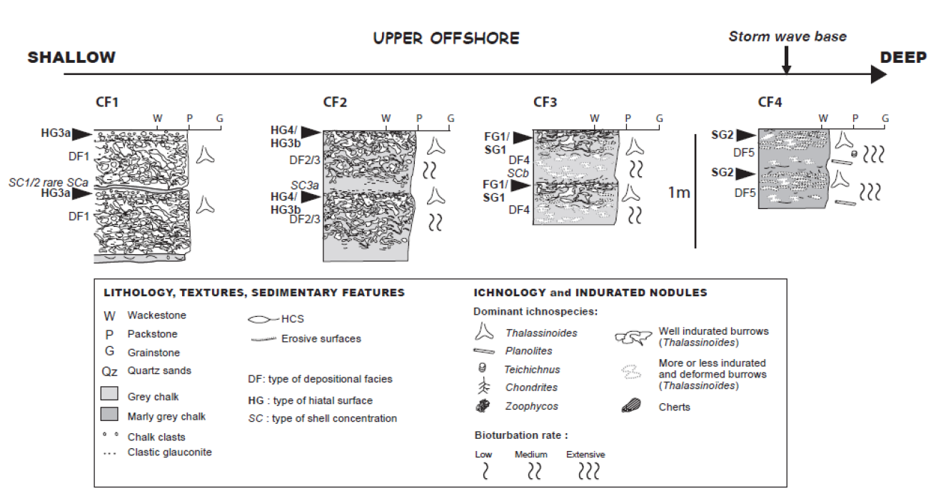 Figure 2 : Différents types de cycles de dépôt-érosion du Cénomanien supérieur au Turonien inférieur (Lasseur, 2007)