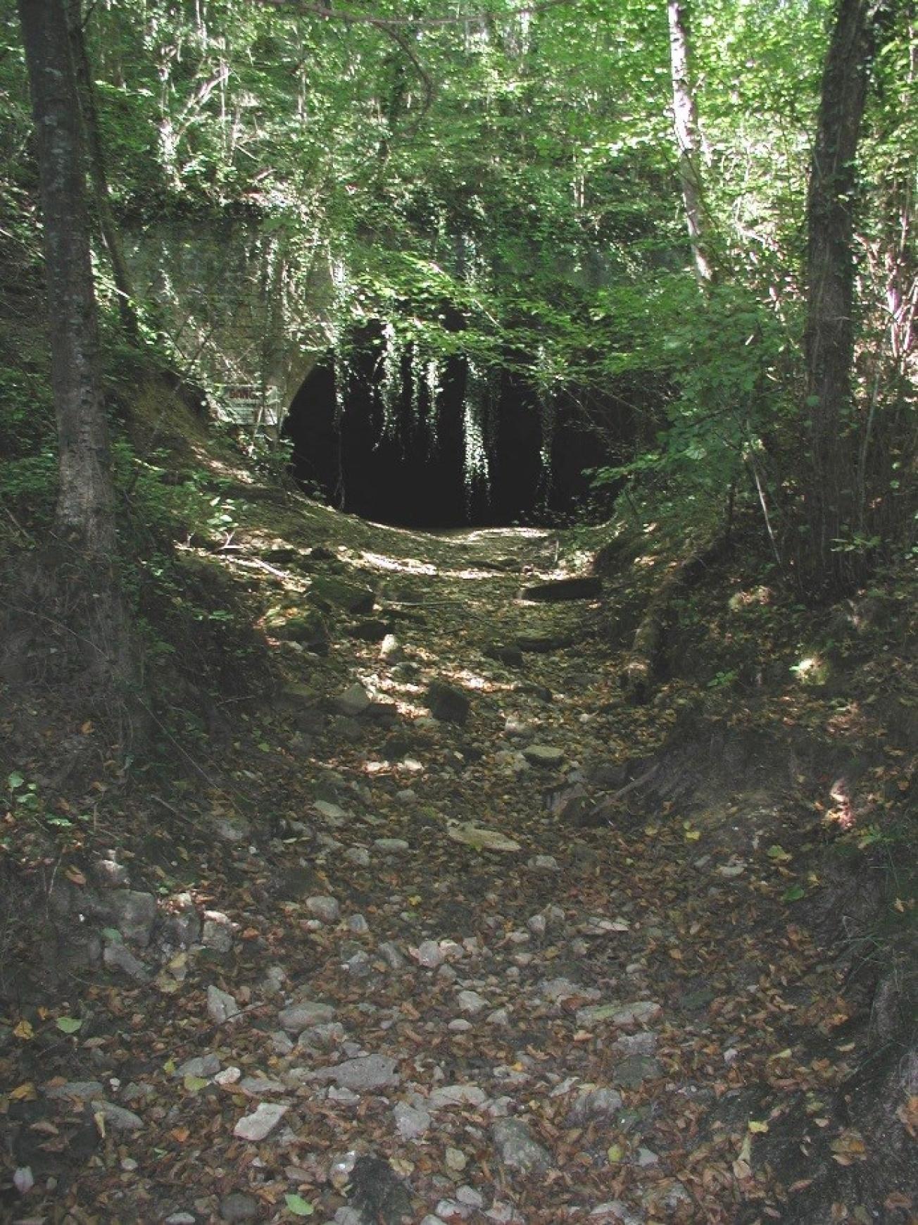 Système karstique de la DORMA (55) Chenal en aval de la source du Rupt-du-Puits (02264X0021/HY) à ROBERT-ESPAGNE (55)