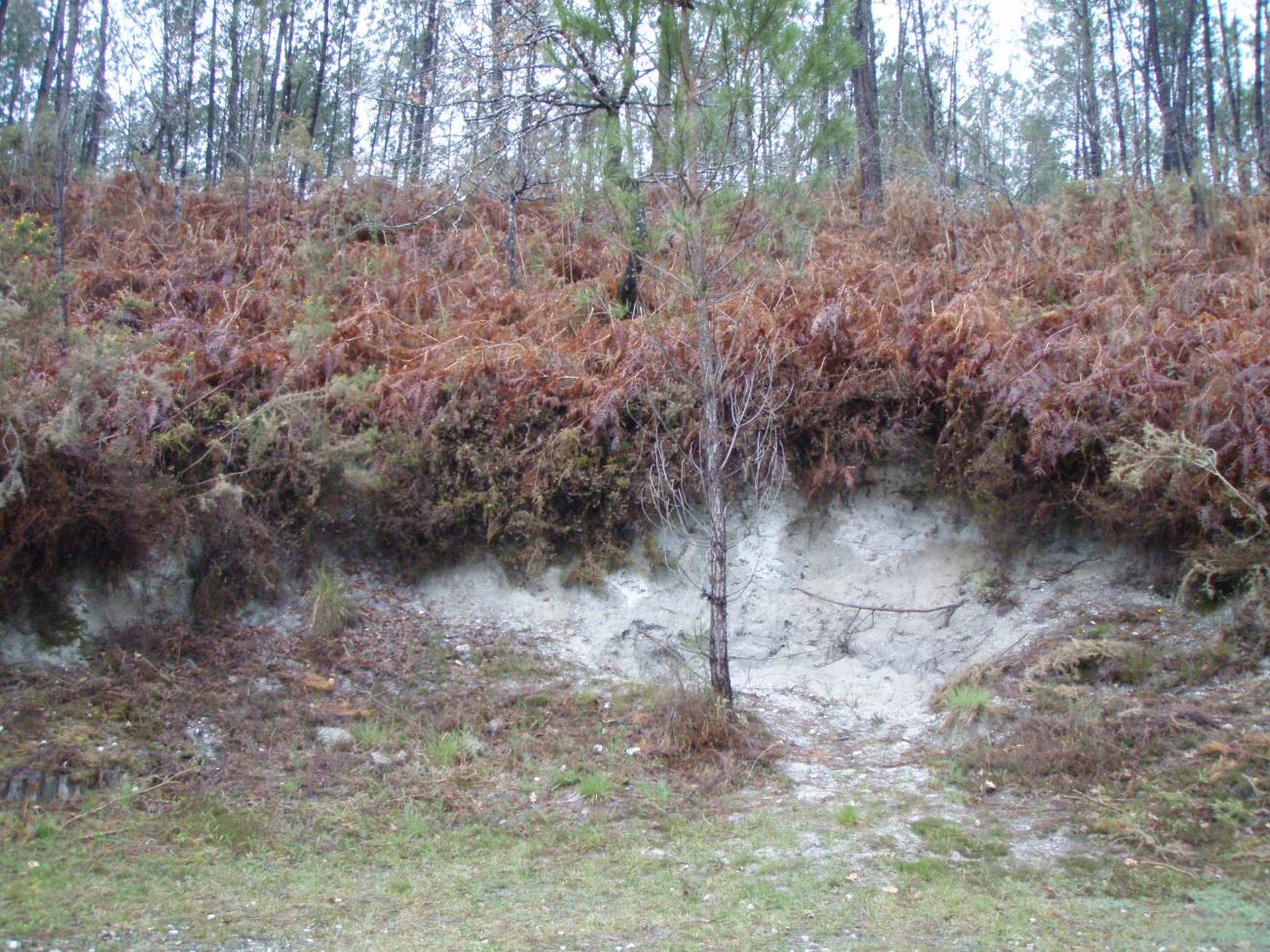 Figure 1 - Affleurement de la Formation de Béliet