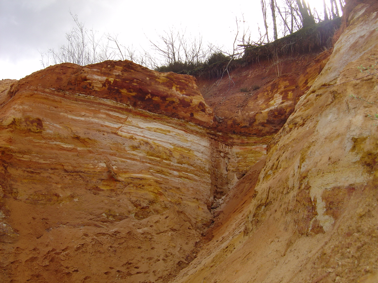 Figure 1 - Affleurement de sables kaoliniques orangés, à lits d'argile, dans la carrière abandonnée de Chantarel (Platel JP., 2013)