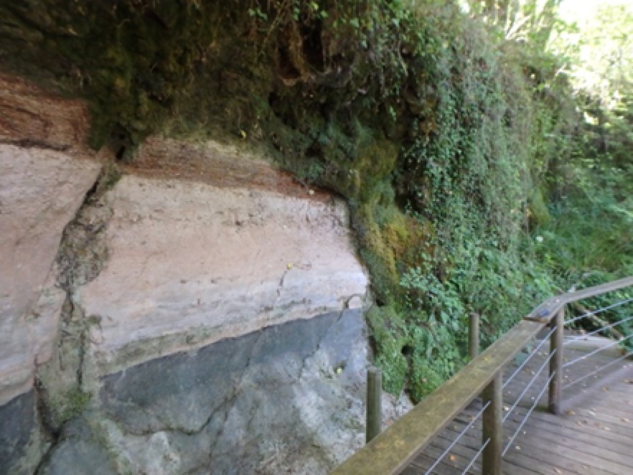 Figure 1 - Affleurement du site du moulin de Bernachon (©Bourbon P., 2017)