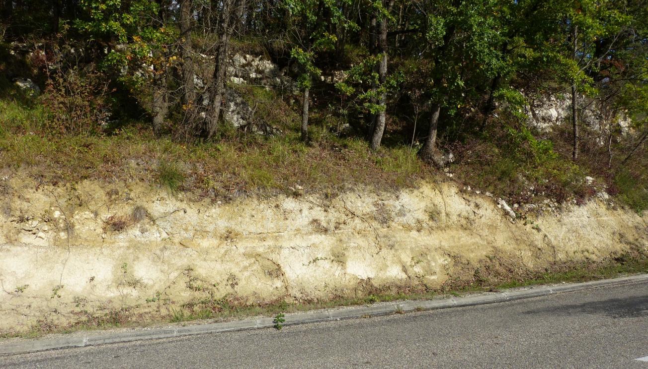 Figure 1 - Base de l'affleurement montrant les Molasses du Fronsadais (Platel JP., 2013)