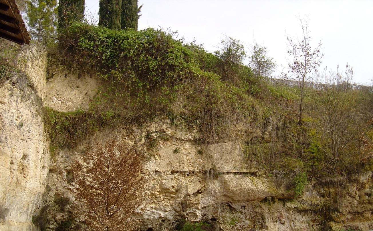 Figure 1 - Falaise du Calcaire de Nérac de l'Oligocène inférieur (Platel JP., 2014)