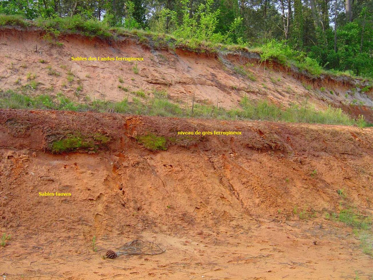 Figure 1 - Formation des Sables fauves au Moulin de Dubern - Salles