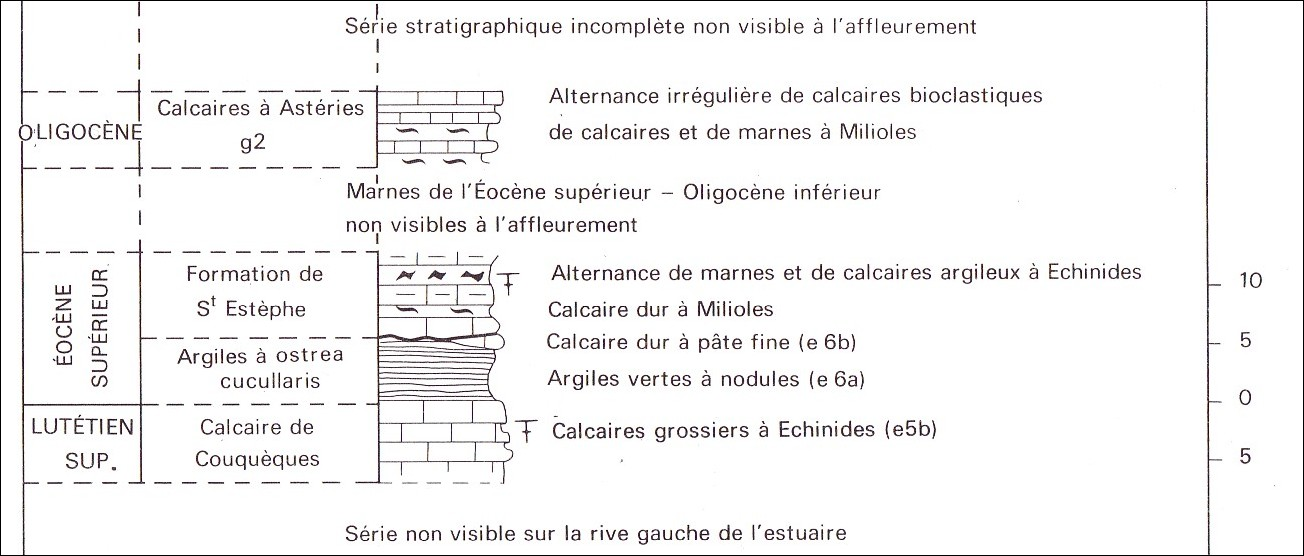 Figure 1 - La série géologique éocène connue autour du bourg de Couquèques