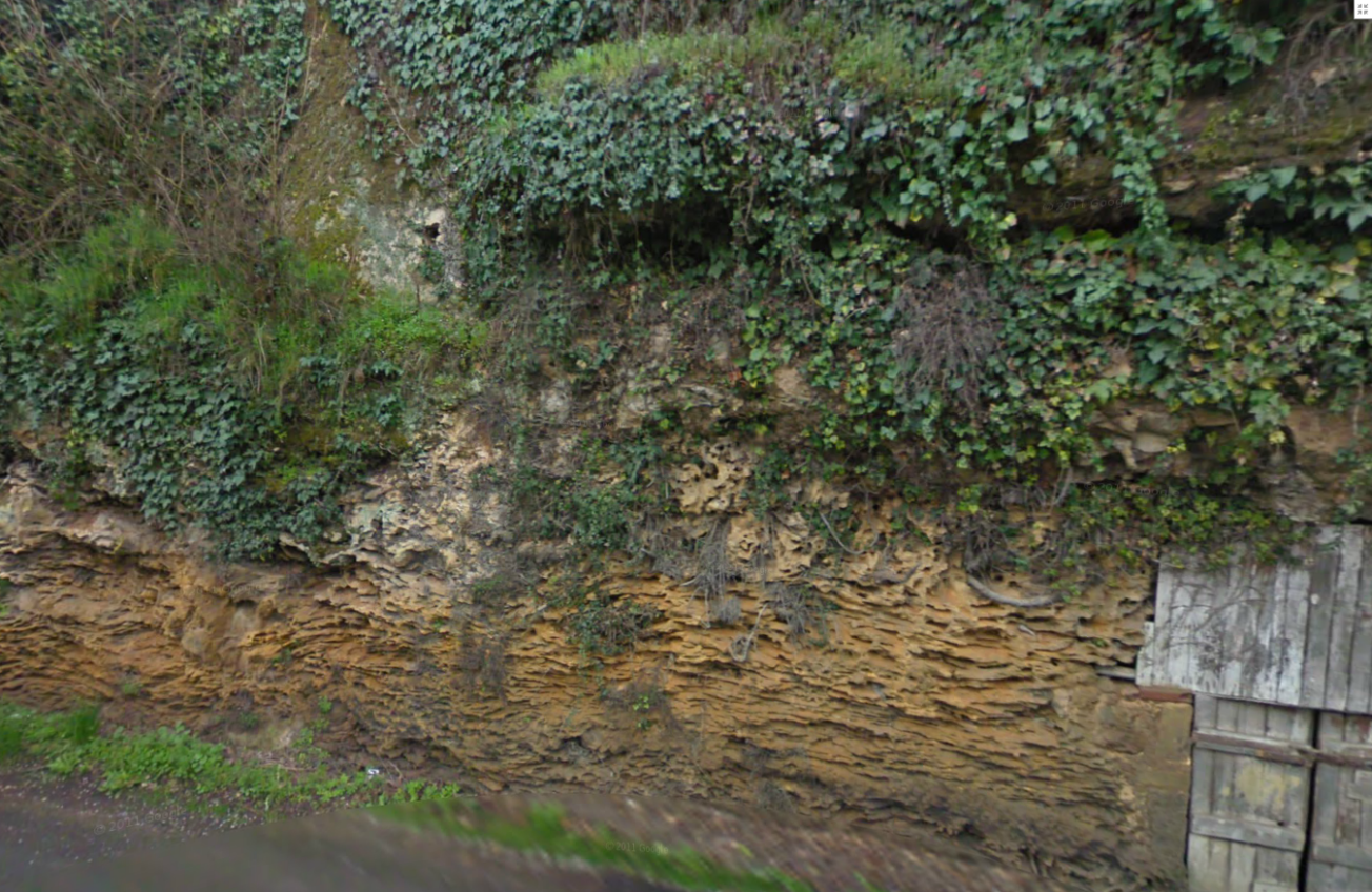 Figure 1 - Le faciès « Mouleydier » de la Formation de Couze du Campanien supérieur