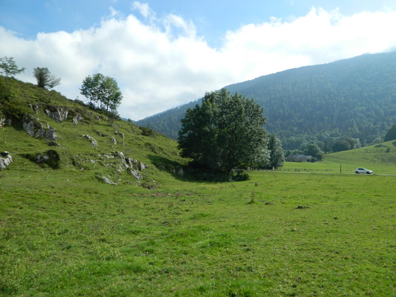 Figure 1 - Perte de l'abreuvoir, au pied des arbres (Gutierrez T., 2013)