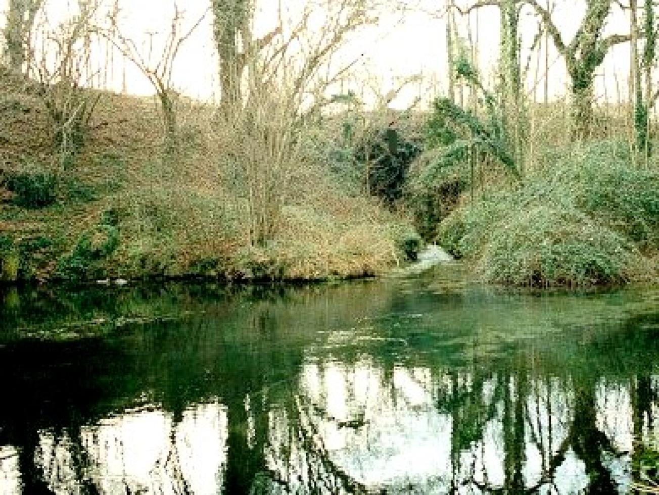 Figure 1 - Petite falaise de calcaire karstifié dans le Calcaire de Nérac, oligocène (Platel JP., 2014)