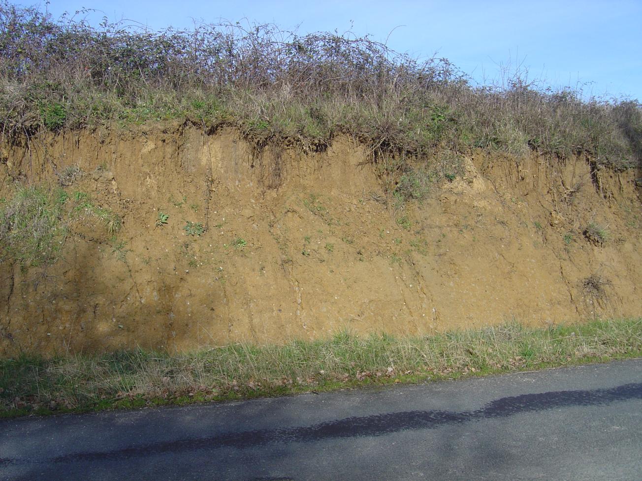 Figure 1 - Talus argileux de la très haute terrasse de Martaillac (Platel JP., 2014)