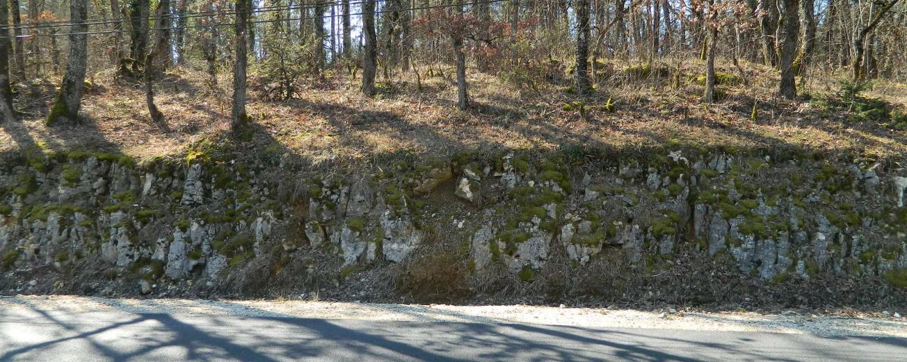 Figure 2 - Calcaires du Bathonien supérieur, Savignac-les-Eglises