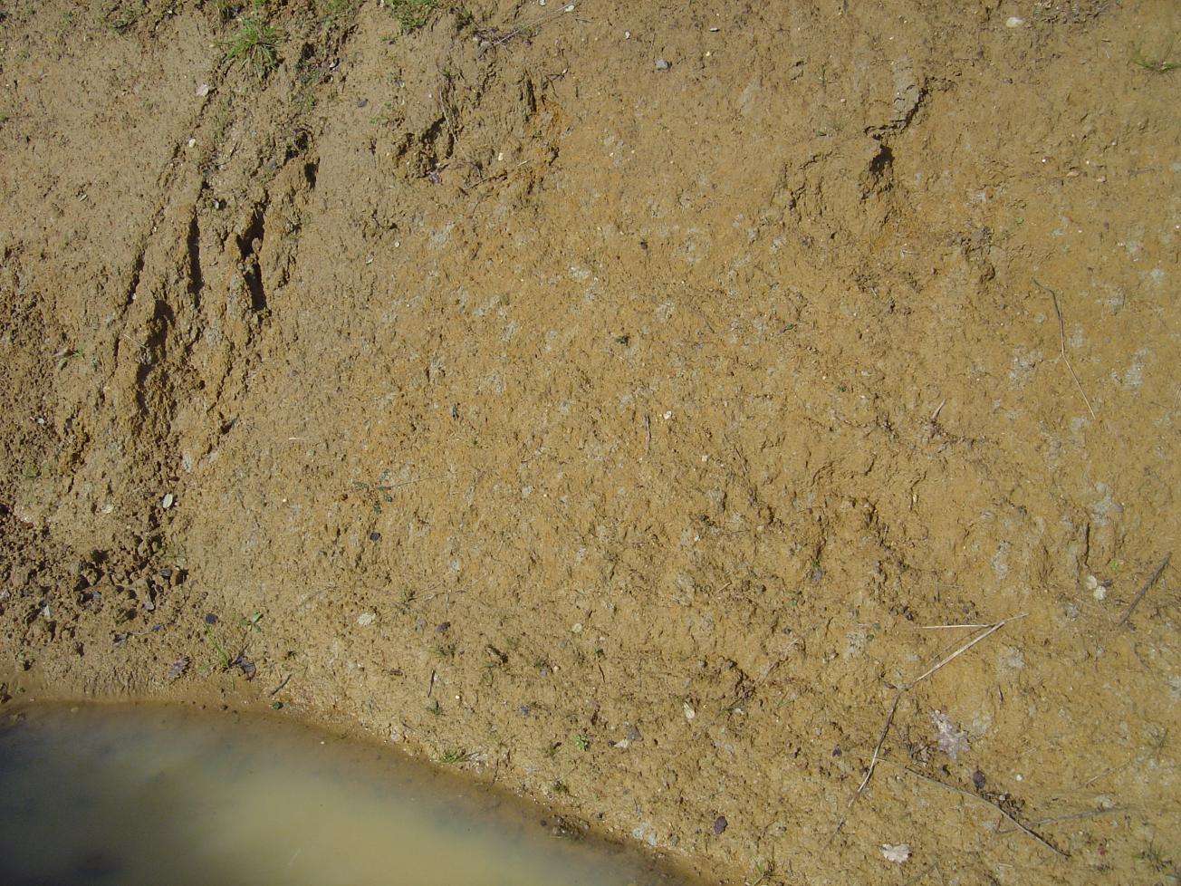 Figure 2 - Détail de la rubéfaction pédogénétique (Platel JP., 2014)