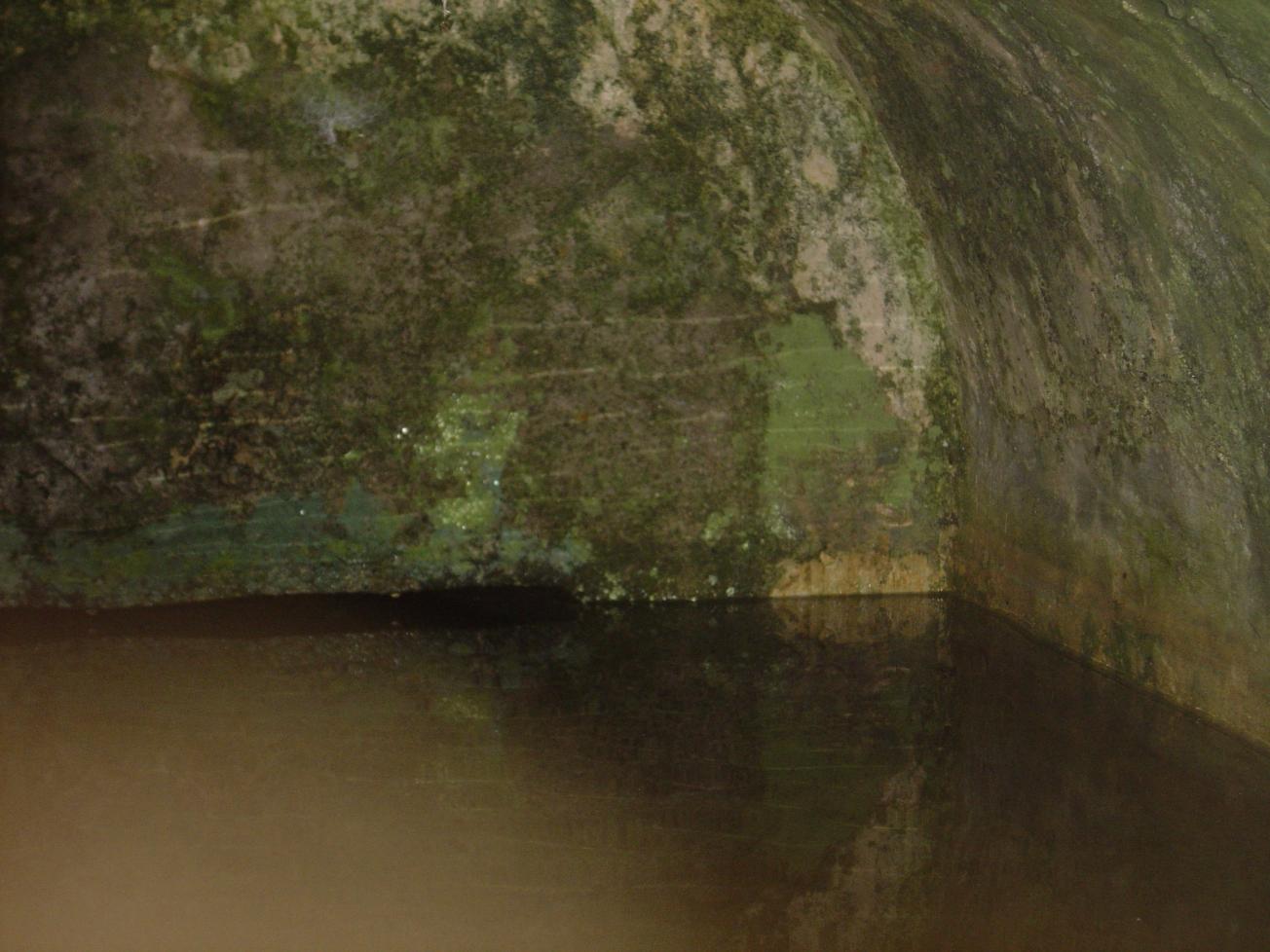 Figure 2 - Intérieur de la fontaine montrant le Calcaire gris de l'Agenais (Platel JP., 2014)