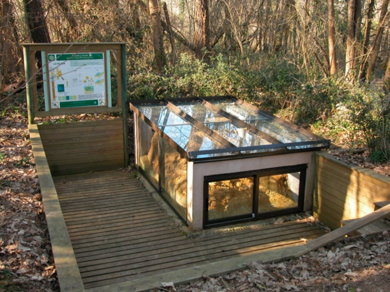 Figure 2 - Musée du site de Péloua (©Réserve Naturelle géologique de Saucats - La Brède)
SIGES
Figure 2 - Musée du site de Péloua (©Réserve Naturelle géologique de Saucats - La Brède)