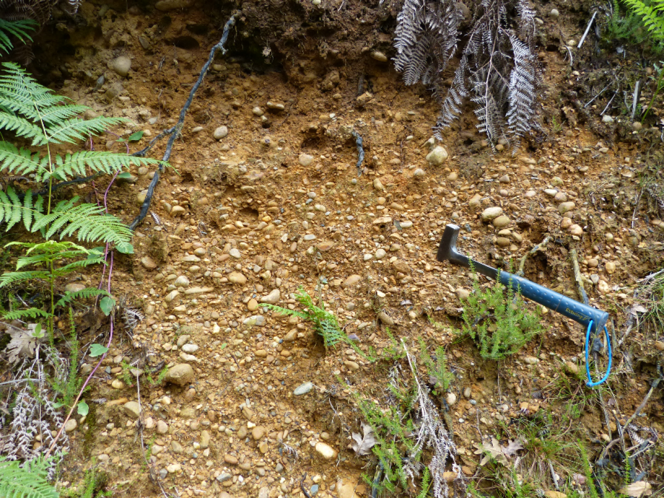 Figure 2 - Partie d'un chenal à galets polygéniques des alluvions de la haute terrasse (© Platel JP., 2015)