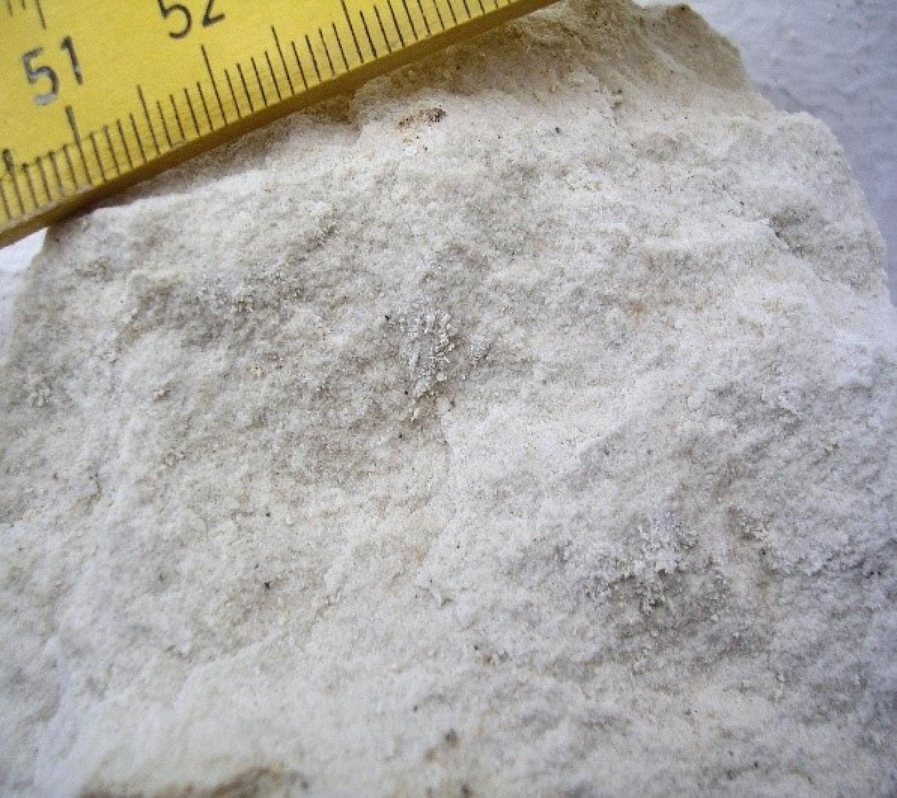 Figure 2 - Photo du calcaire crayeux (©BRGM,2023)