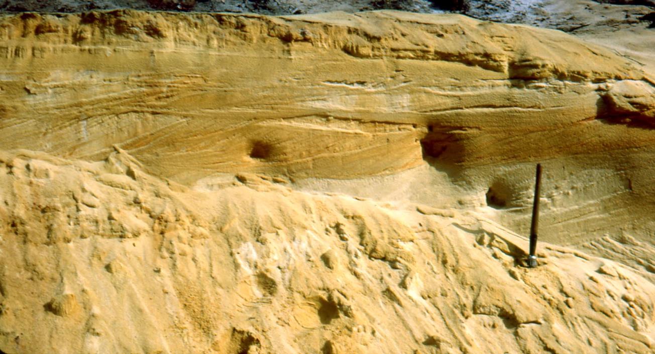 Figure 2 - Sable des Landes dans une dune interne du plateau landais
