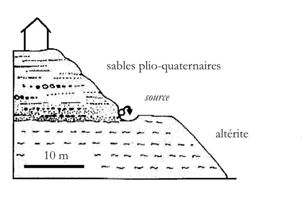 Figure 2 - Schéma explicatif de l'émergence de la source Contresta - Bidart