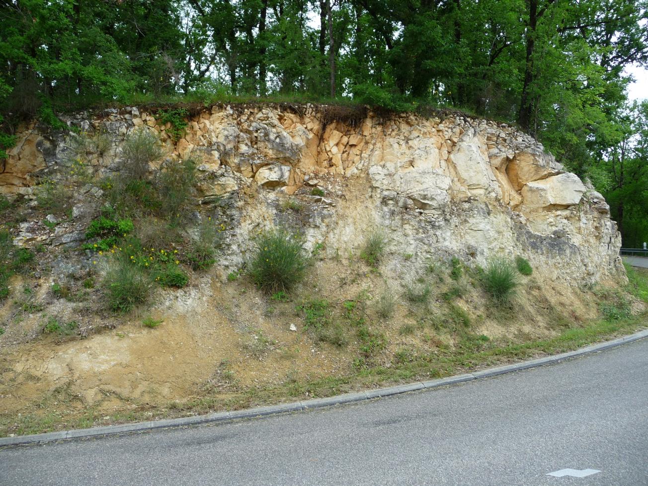 Figure 2 - Sommet de l'affleurement montrant le contact du Calcaire de Castillon sur les Molasses du Fronsadais (Platel JP., 2013)