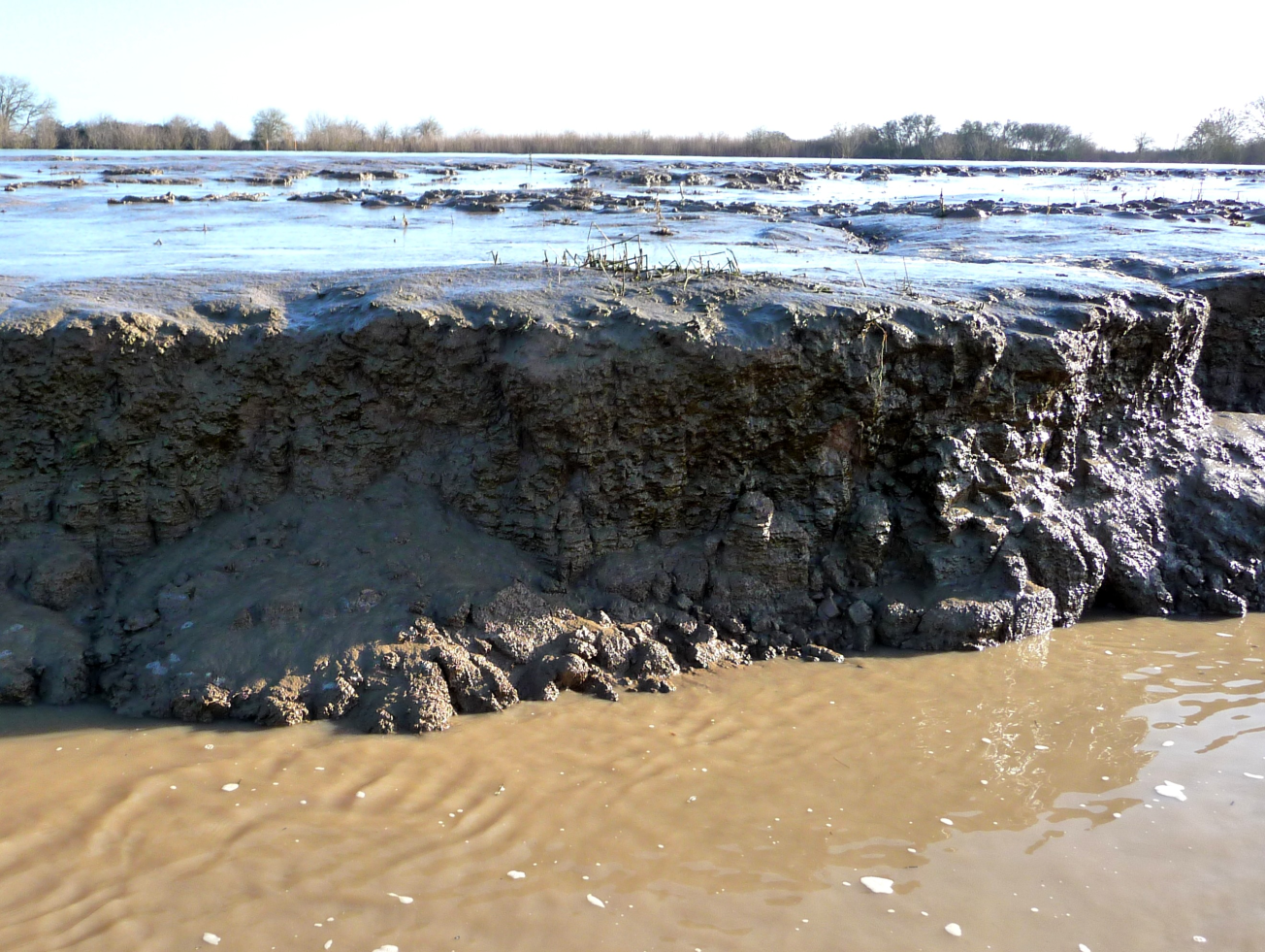 Figure 3 - Argiles gris-bleu de l'Holocène et dépôt de vases récentes, autour de la réculée d'érosion, entre les deux parties au nord de l'île (© Platel JP., 2015)