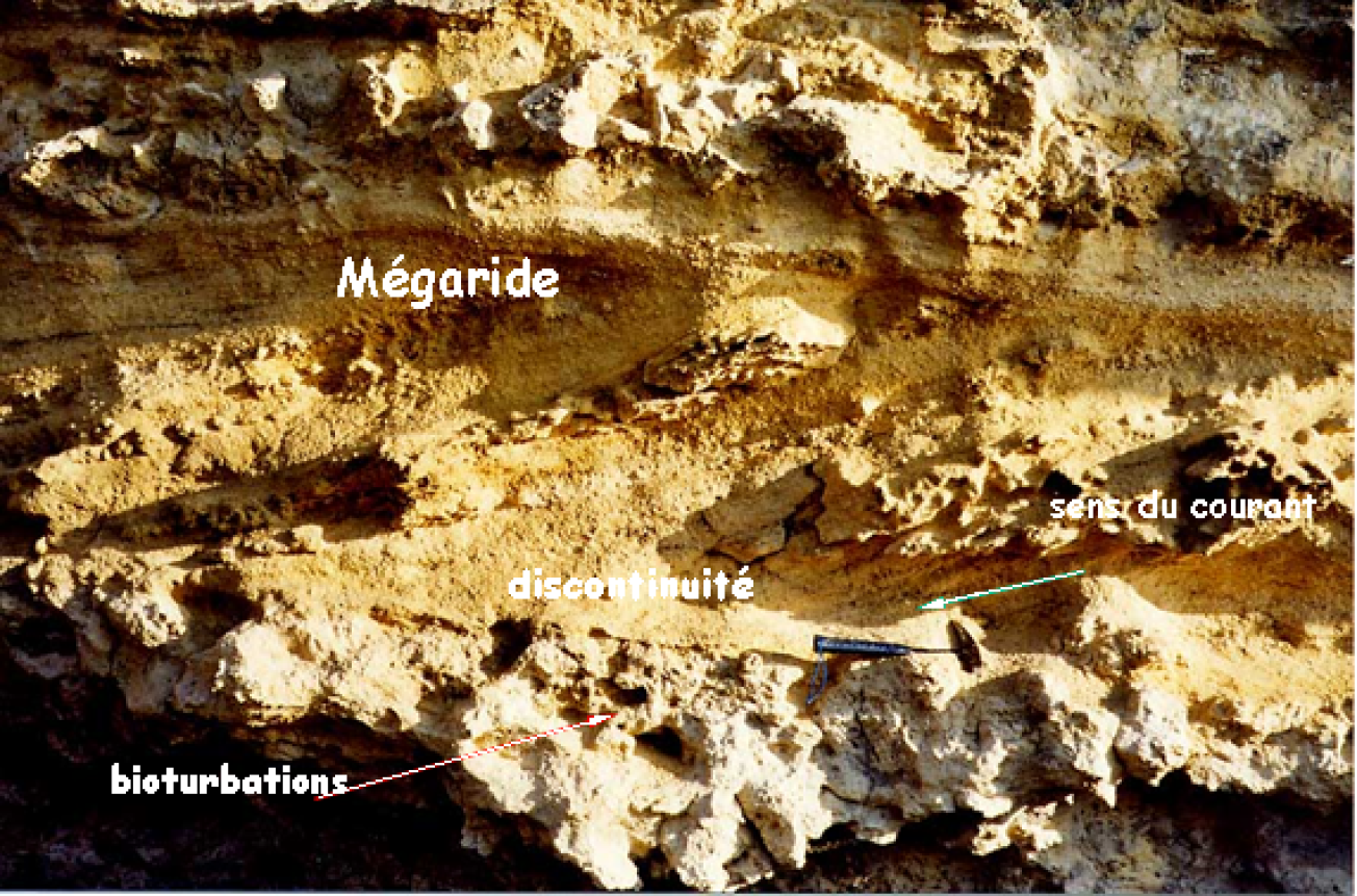 Figure 3 - Détail des figures sédimentaires dans les calcaires silicoclastiques (une nette discontinuité entre deux séquences se trouve au niveau du marteau - © Platel JP., 2015)