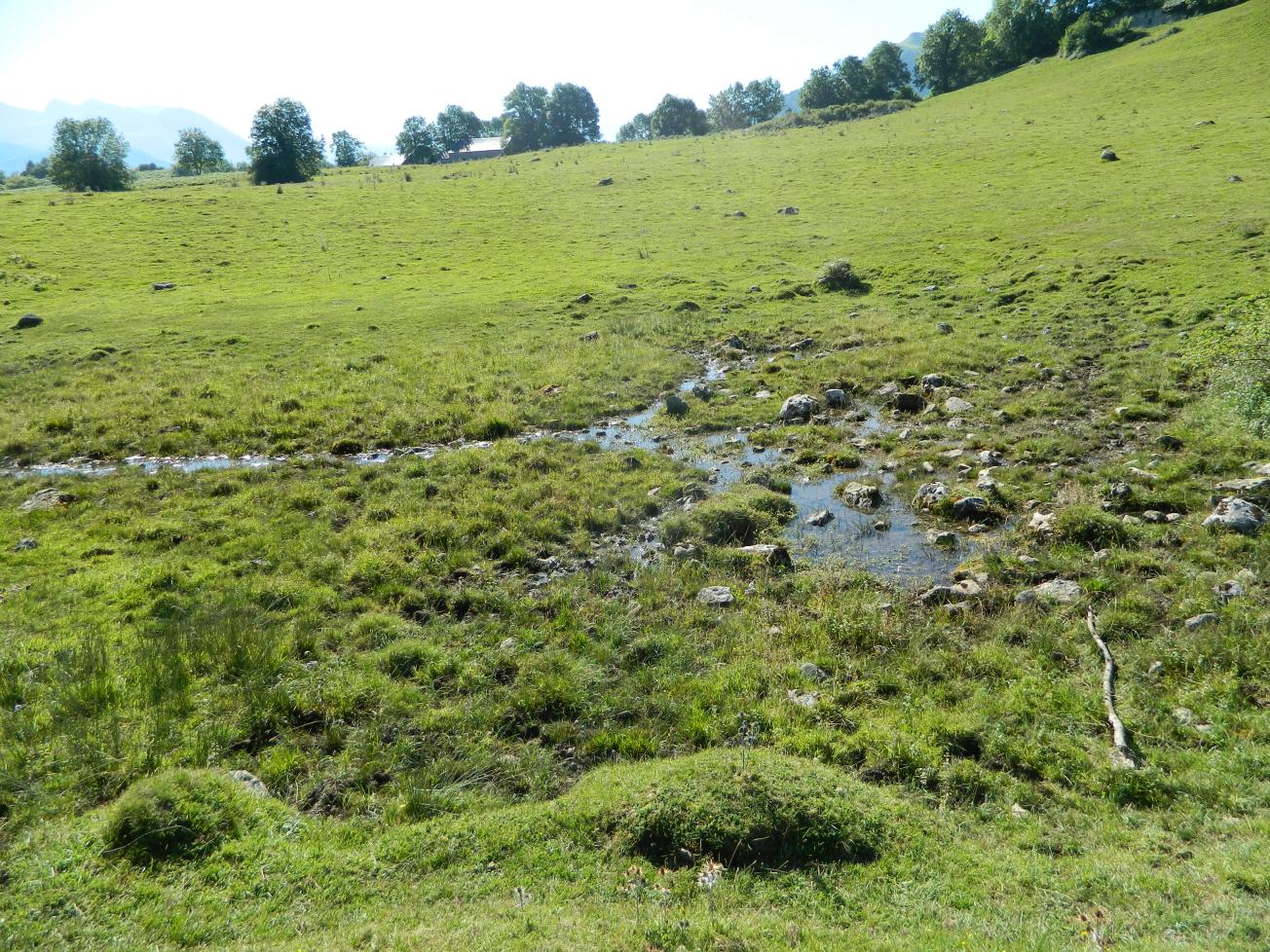 Figure 3 - Ecoulements de source (Gutierrez T., 2013)