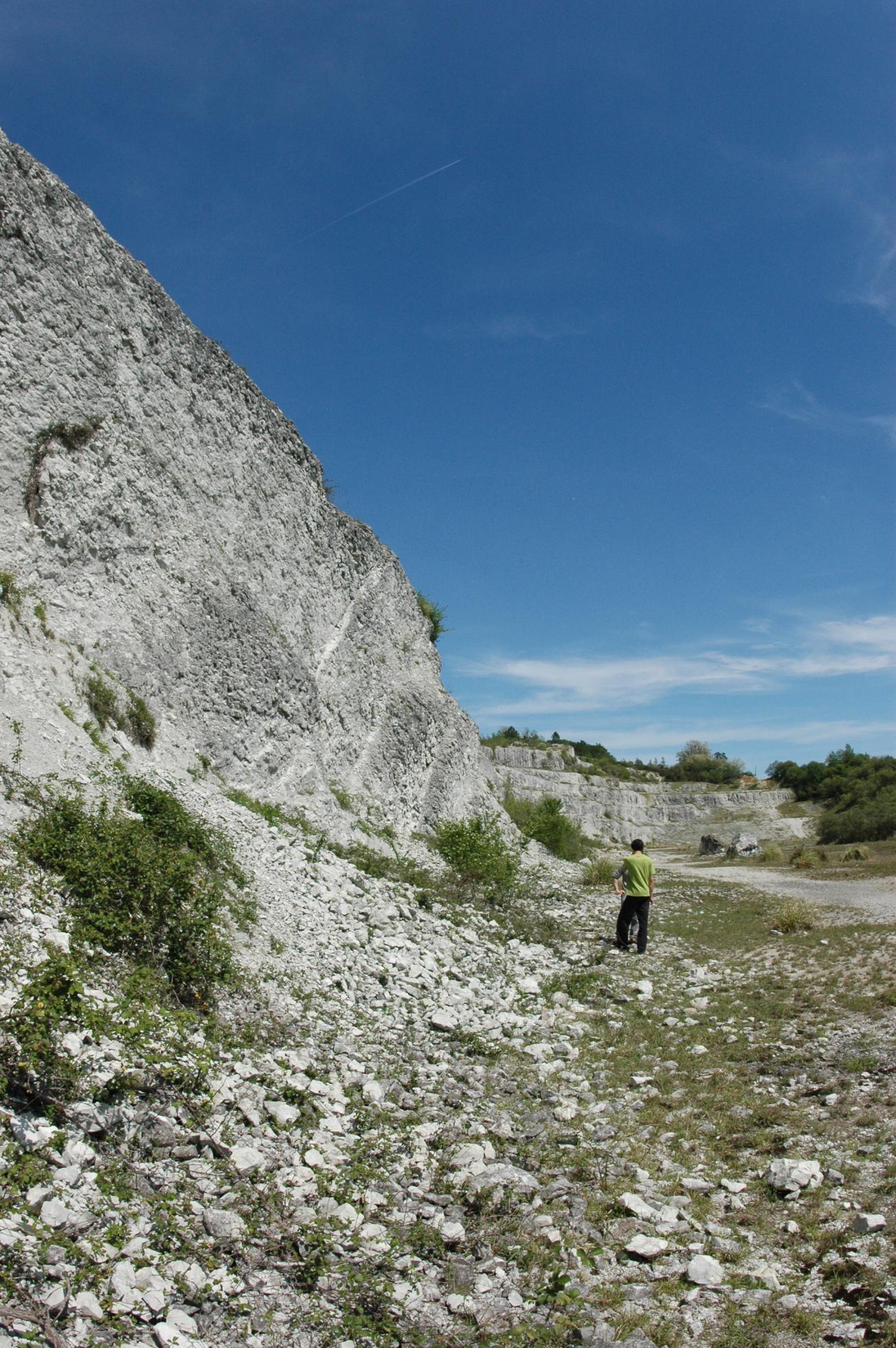 Figure 3 - Stratification sub-verticale du Campanien