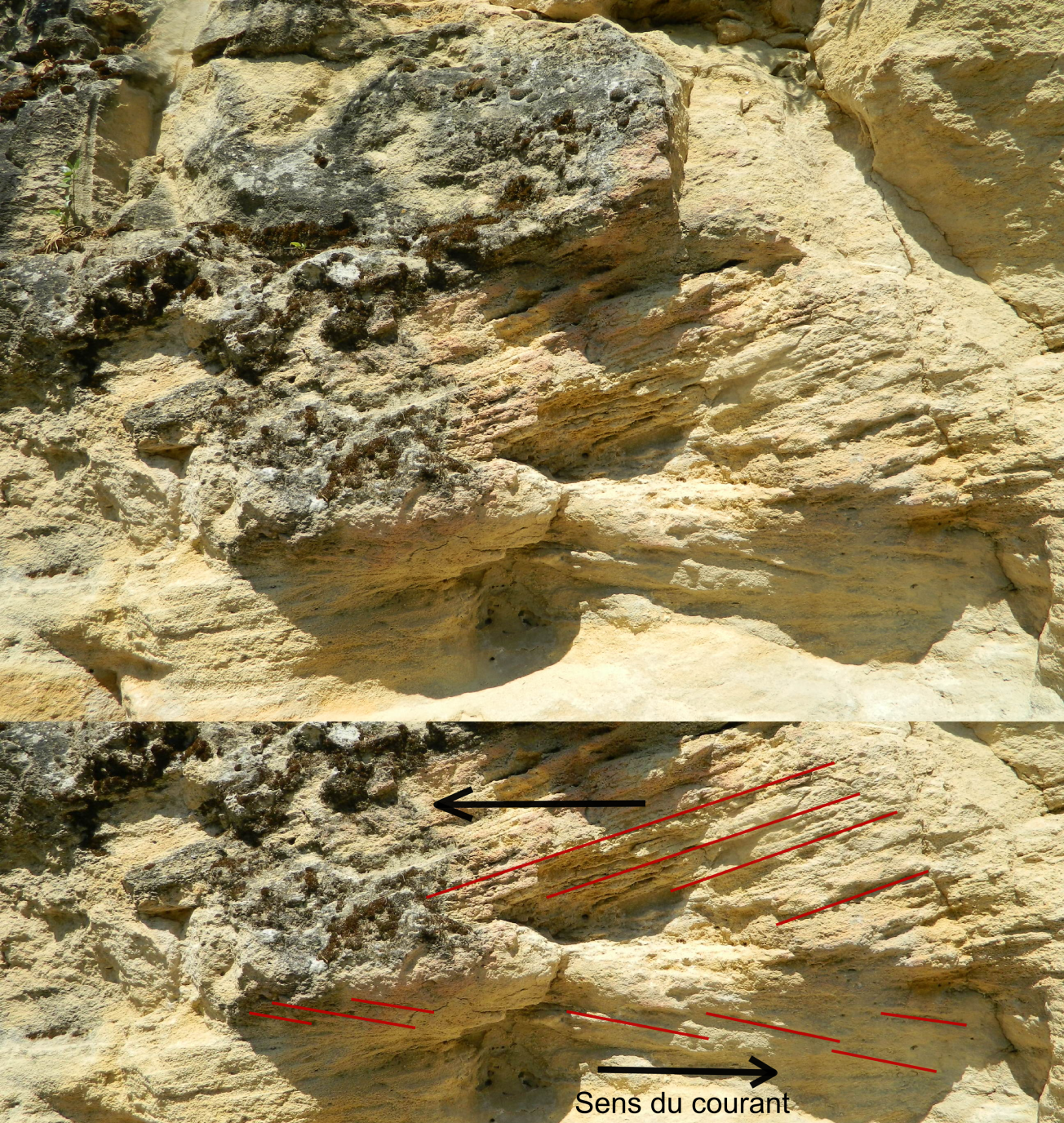 Figure 3 - Stratifications entrecroisées dans la base du Burdigalien (© Galey A., BRGM, 2012)