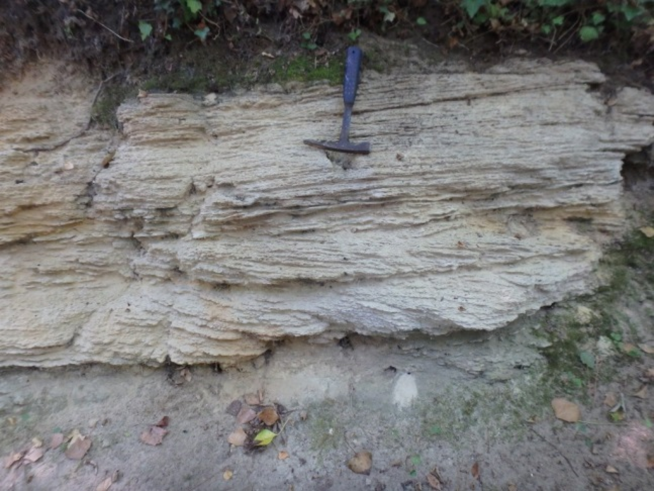 Figure 3 - Stratifications obliques de l'Aquitanien (©Bourbon P., 2017)