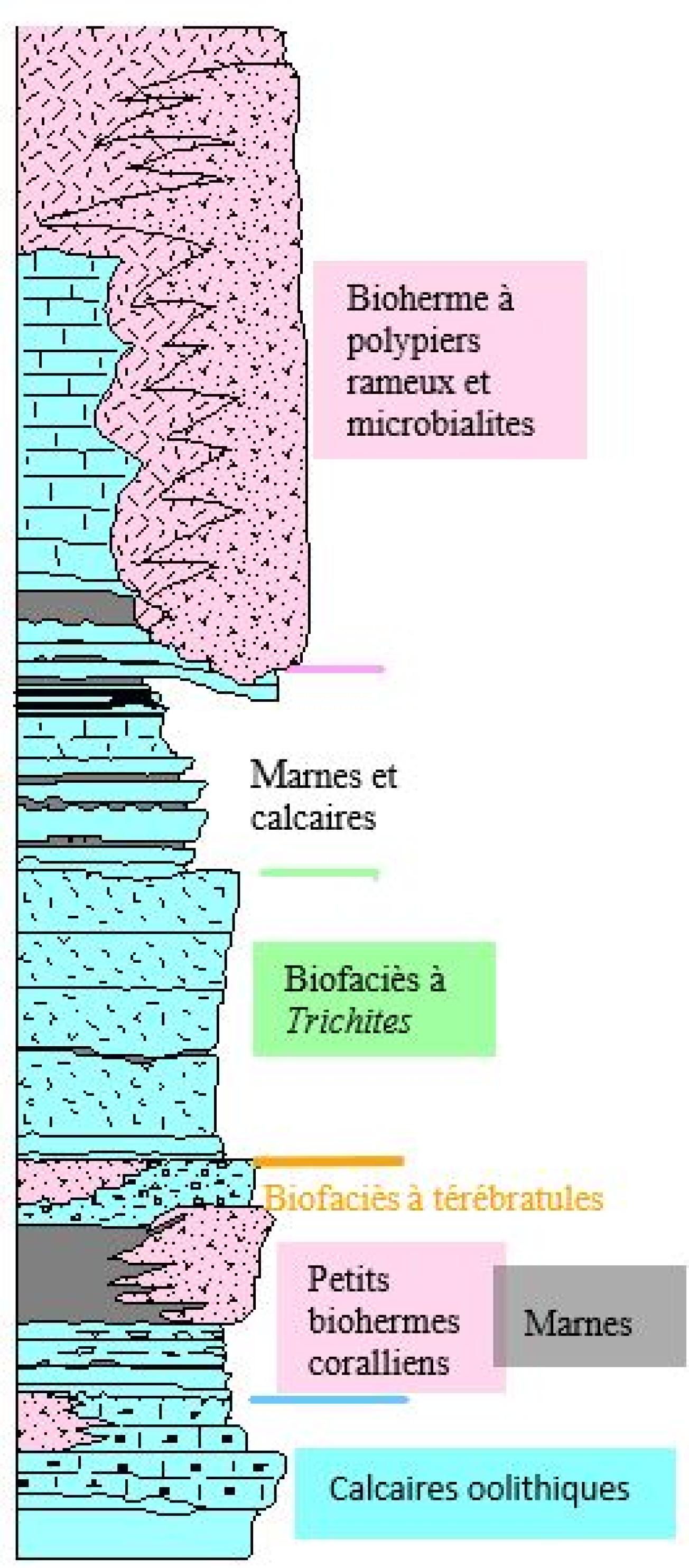 Figure 4 - Log de la Pointe du Chay (© BRGM, 2023)