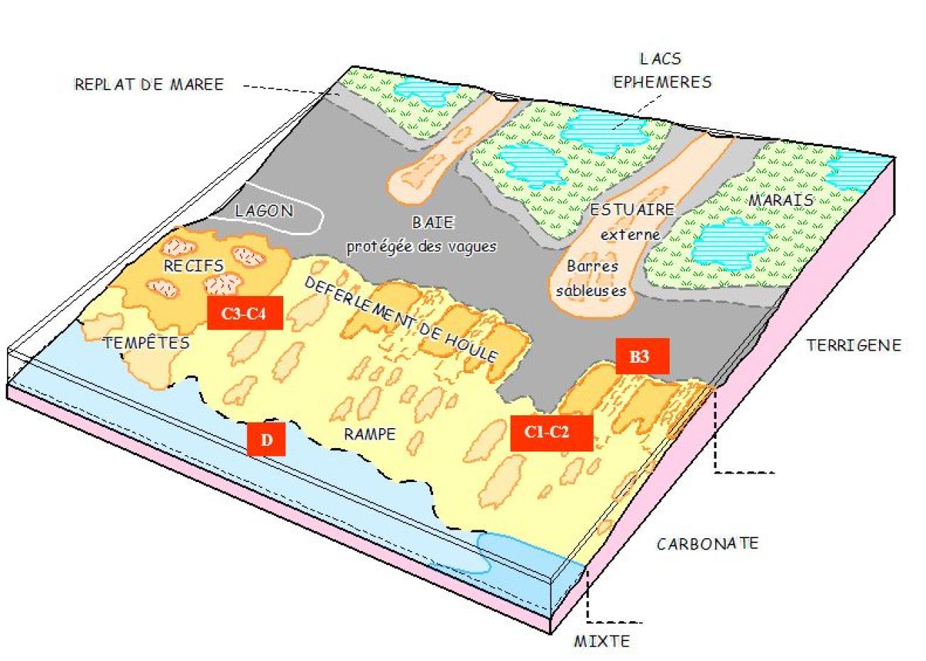 Figure 5 - Bloc diagramme synthétique du Cénomanien charentais (F. GUILLOCHEAU, Livret guide excursion n° 5, ASF, 2003)
