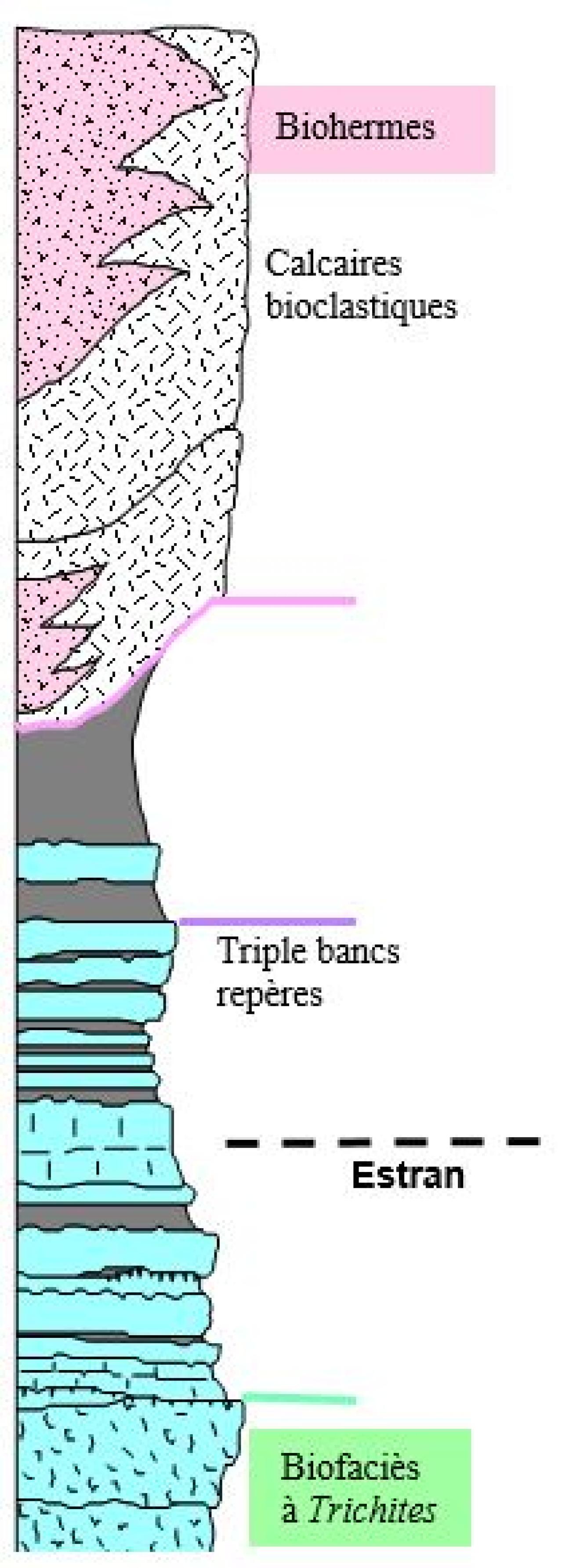 Figure 6 - Log stratigraphique associé (© BRGM,2023)