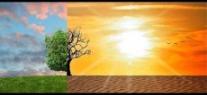 Changement climatique