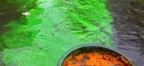 Traçage à la fluorescéine