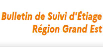 Bulletin de situation d'étiage (Région Grand Est)