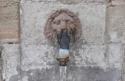 Fontaine de Viviers-le-Gras (88) 