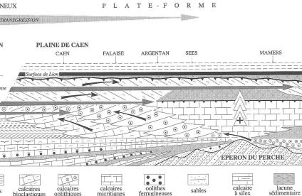 La répartition des principaux faciès sédimentaires au sein des formations du Jurassique moyen de Basse-Normandie (d’après Dugué et al., 1998)