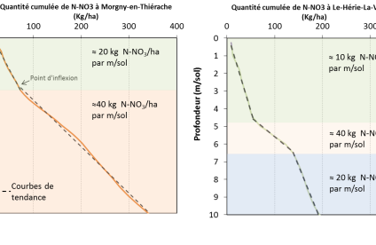 Evolution du stock d’azote cumulé sur la profondeur (Surdyk N. et al., 2014)