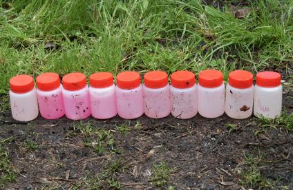 Logo_Rub-RéseauQualité