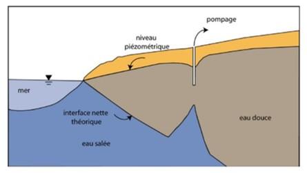 Influence d’un pompage sur le biseau salé
© Frissant et al., 2009
Influence d’un pompage sur le biseau salé