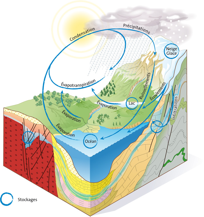 Le cycle de l’eau terrestre
© BRGM – Michel Villey
Cycle de l’eau terrestre