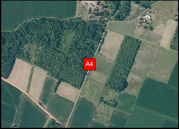B13A4