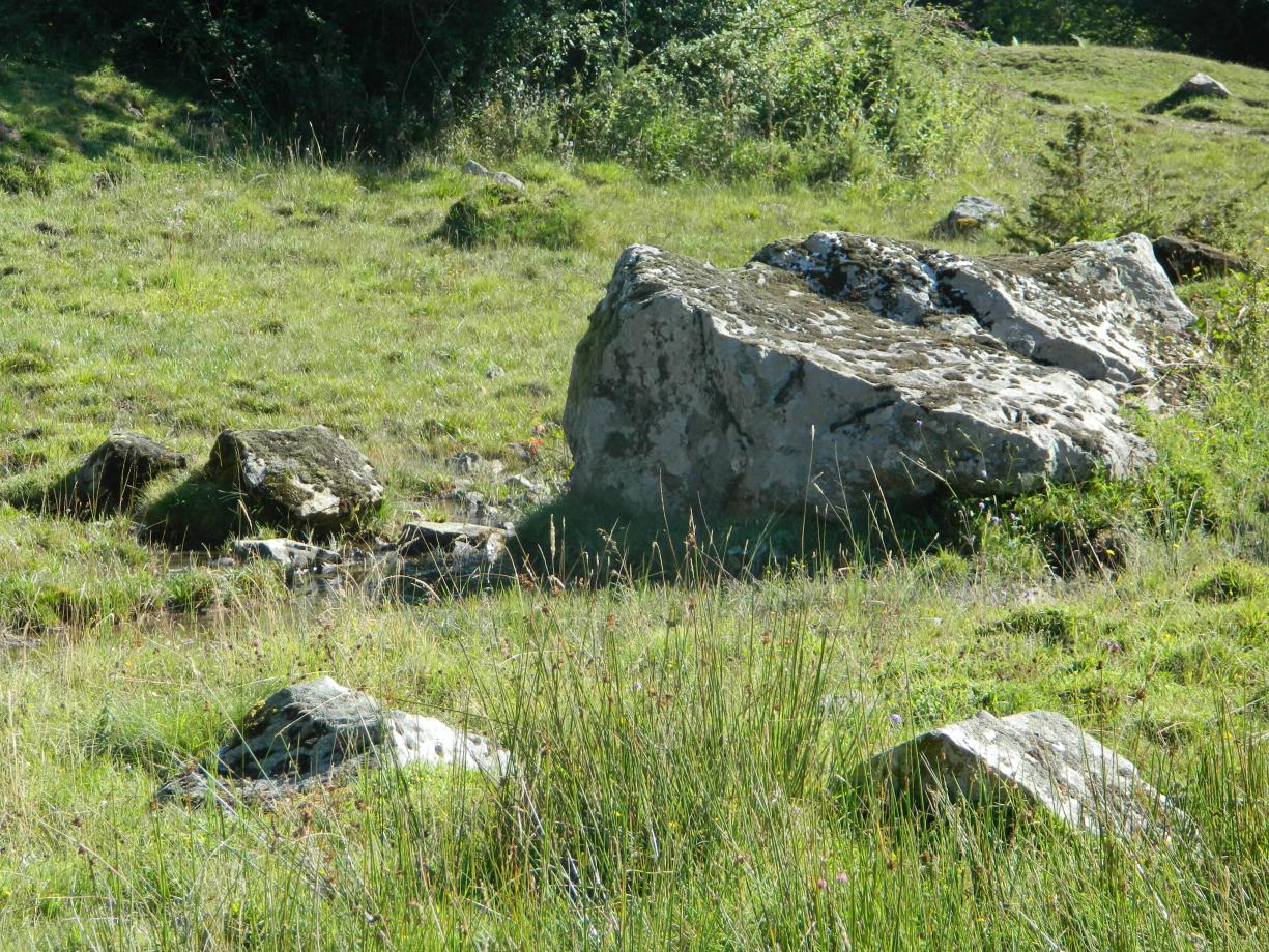Bloc erratique aux sources de Houndas
Gutierrez T., 2013
Bloc erratique aux sources de Houndas