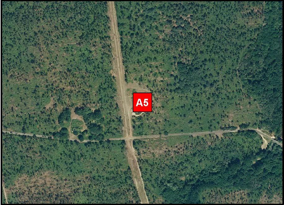 B11A5