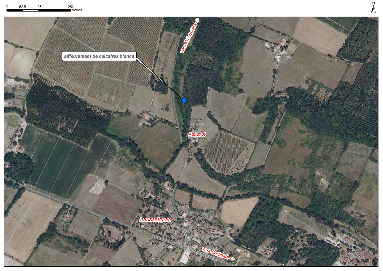 Localisation des affleurements décrits pour le site "Affleurement d'Ascapot" (commune de Barbaste)