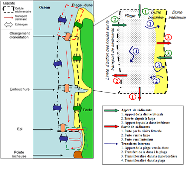 Cellule sédimentaire