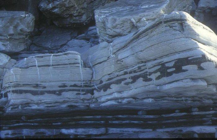 Flysch à silex (Guéthary)
SIGES
Flysch à silex (Guéthary)