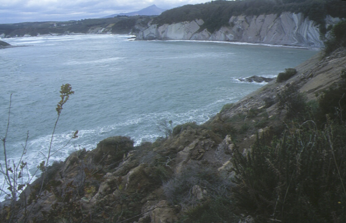 Flysch gréseux d'Hendaye (Baie de Loya)
SIGES
Flysch gréseux d'Hendaye (Baie de Loya)