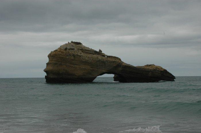 Calcaires gréseux oligocènes (Rocher de la Frégate, Biarritz)
SIGES
Calcaires gréseux oligocènes (Rocher de la Frégate, Biarritz)