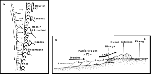 Le transit littoral a édifié des flèches et des îles barrières, en travers des estuaires et des baies côtières (à gauche) ; la migration du cordon littoral, imposée par les vents et les vagues, a progressivement isolé les étangs aquitains de l’océan (à droite)